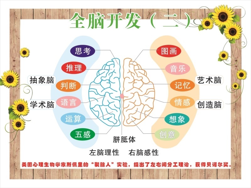 全腦開發二海報展板全腦開發一全腦潛能開發10大能力墻貼墻紙kt板