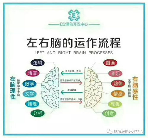 開發孩子右腦的9大理由