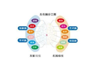 全腦潛能開發教育加盟費多少錢總部