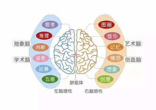 全腦潛能開發體驗課(5-18歲)-在線訂票-互動吧