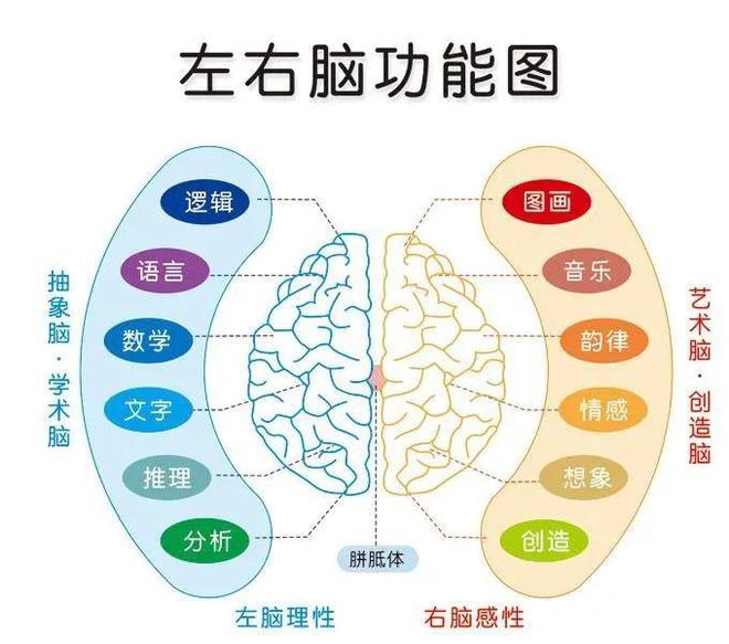 3~8歲益智游戲書《全腦潛能訓練》,抓住大腦發育黃金期訓練五大潛能!親子共讀,寓教于樂!