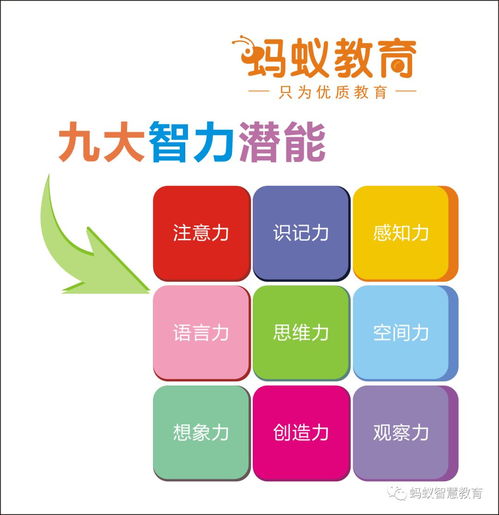 全腦潛能開(kāi)發(fā)的10個(gè)技巧,讓孩子變得更聰明