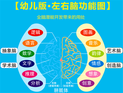 美國心理學家研究發(fā)現(xiàn):高智商兒童確實有共同點,但和遺傳沒關(guān)系